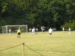 Quatro - Lokomotiva Louky (17.7.2010)