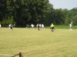 Quatro - Lokomotiva Louky (17.7.2010)