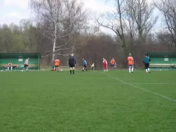 Quatro - Lokomotiva Louky (3.4.2010)