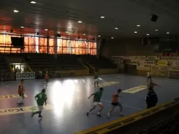Quatro - Netcar (1.liga 08-09)