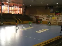 Quatro - Netcar (1.liga 08-09)
