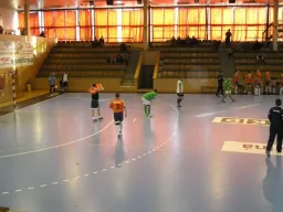 Quatro - Netcar (1.liga 08-09)
